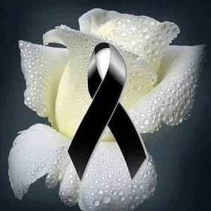 Meet your Posher, Antonio